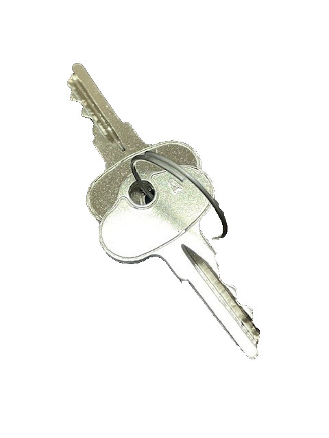 Set Lot of 2 OEM Club Car Golf Cart Ignition Key A 102044801 NEW