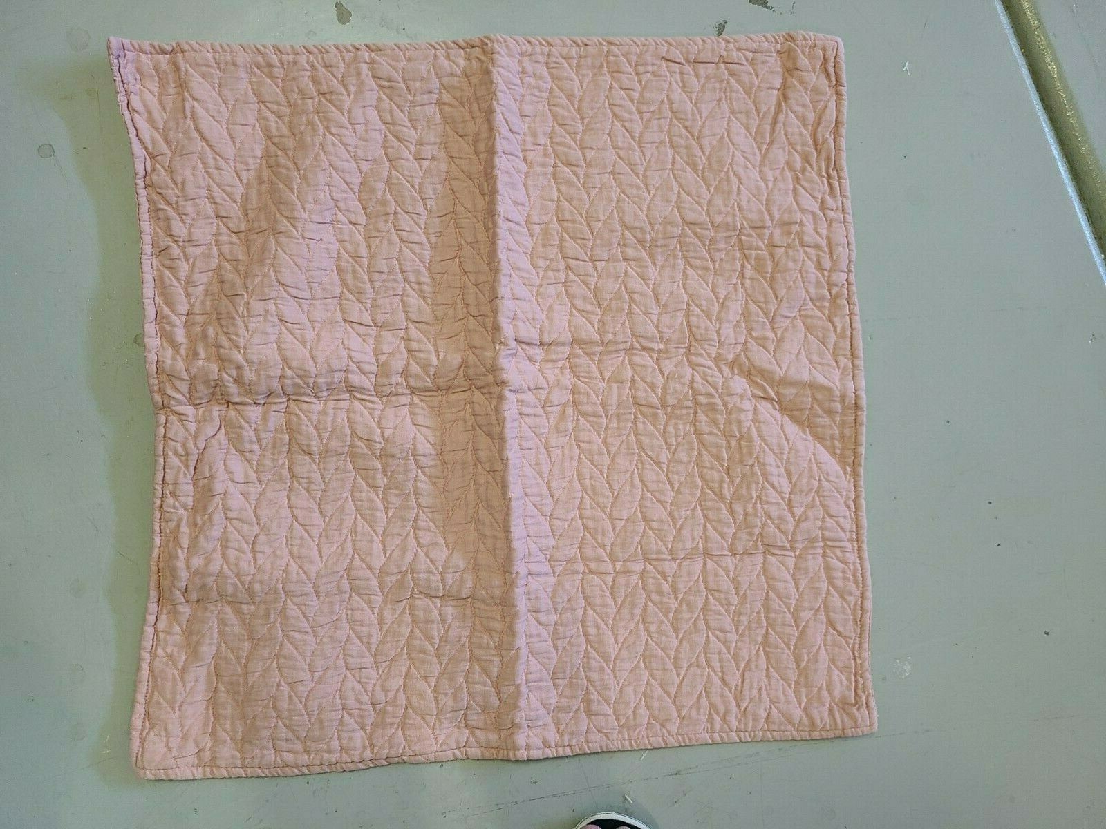 West Elm "Blush Chevron" Euro Sham