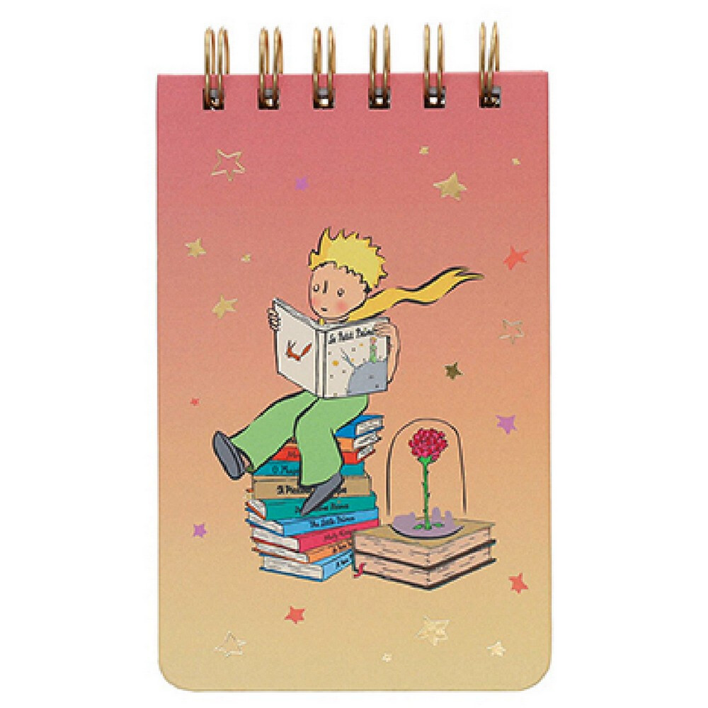 Kiub The Little Prince Notebook on Books (9x14.5cm)