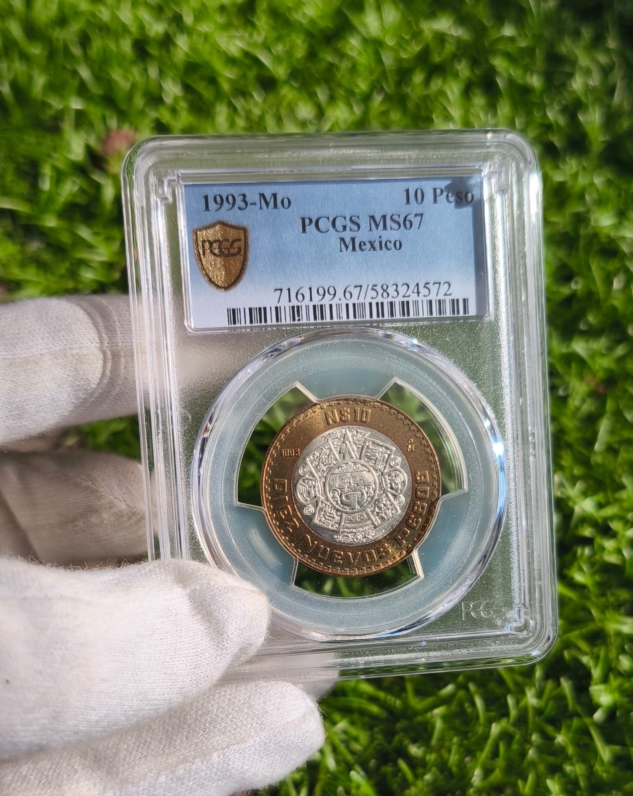 10 NUEVOS PESOS 1993 MS67