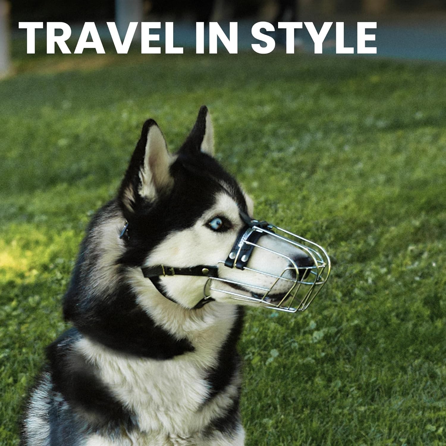 Metal Dog Muzzle with Leather Straps - Comfortable for Training & Walks