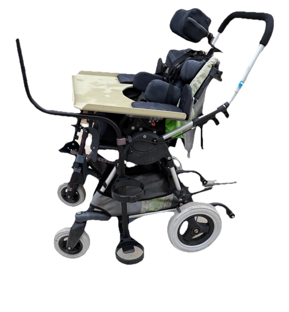 Special Needs Kid Kart Used