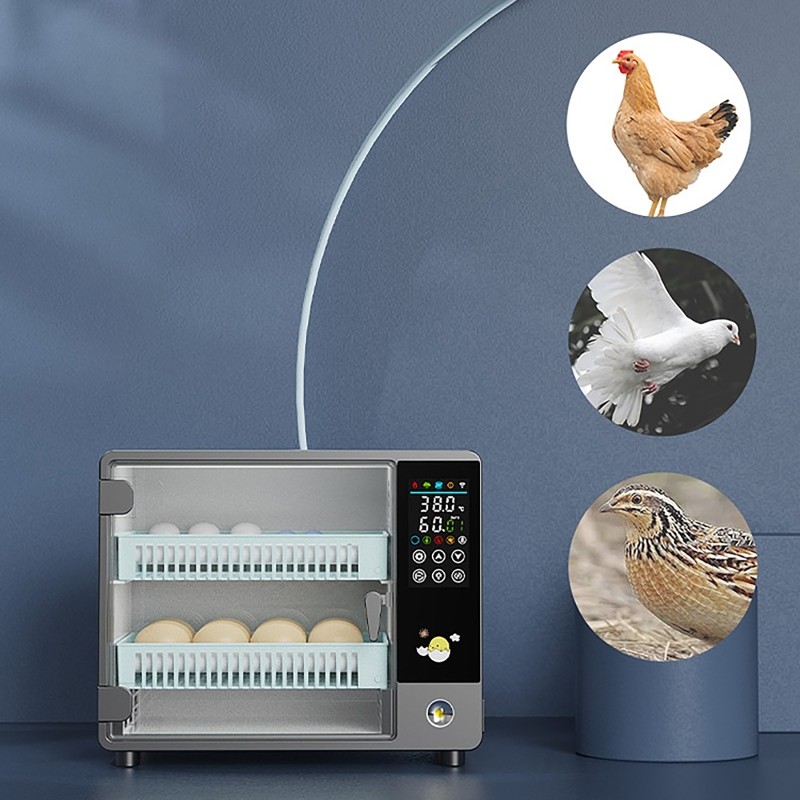 24 Eggs Incubator Temperature Control Automatic Digital Chicken Egg Hatcher 50W