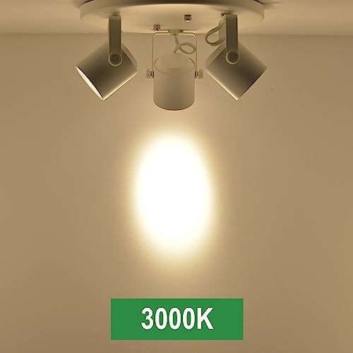 27W 3000K 3 Light LED Flush Mount Ceiling Not Replaceable Bulb-3 light