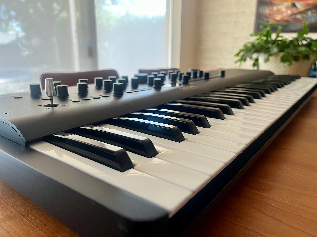 Modal Electronics Argon8X 61-Key 8-Voice Polyphonic Wavetable Synthesizer