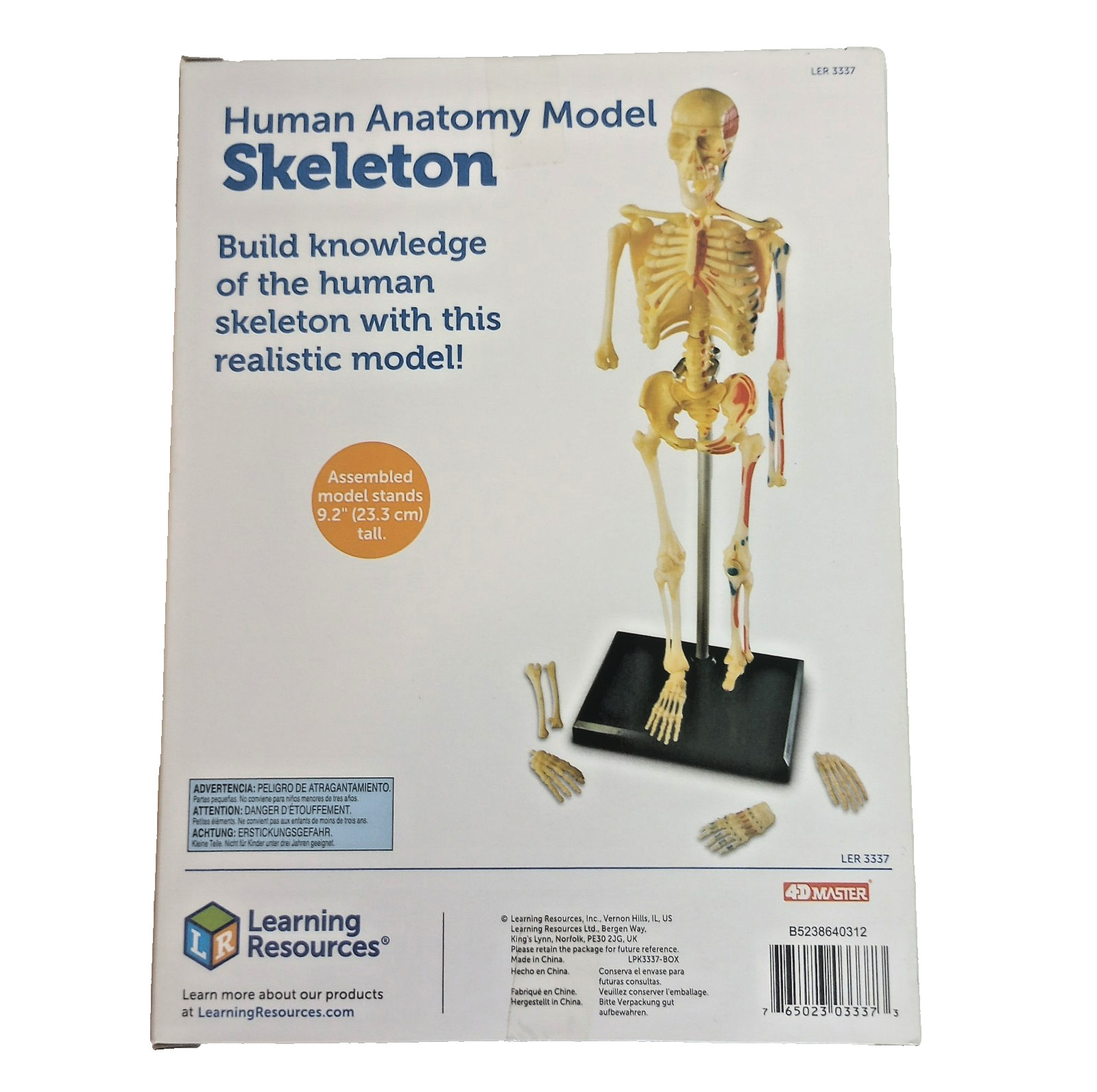 Learning Resources Human Anatomy Skeleton Model Kit LER 3337 STEM 41 Pcs