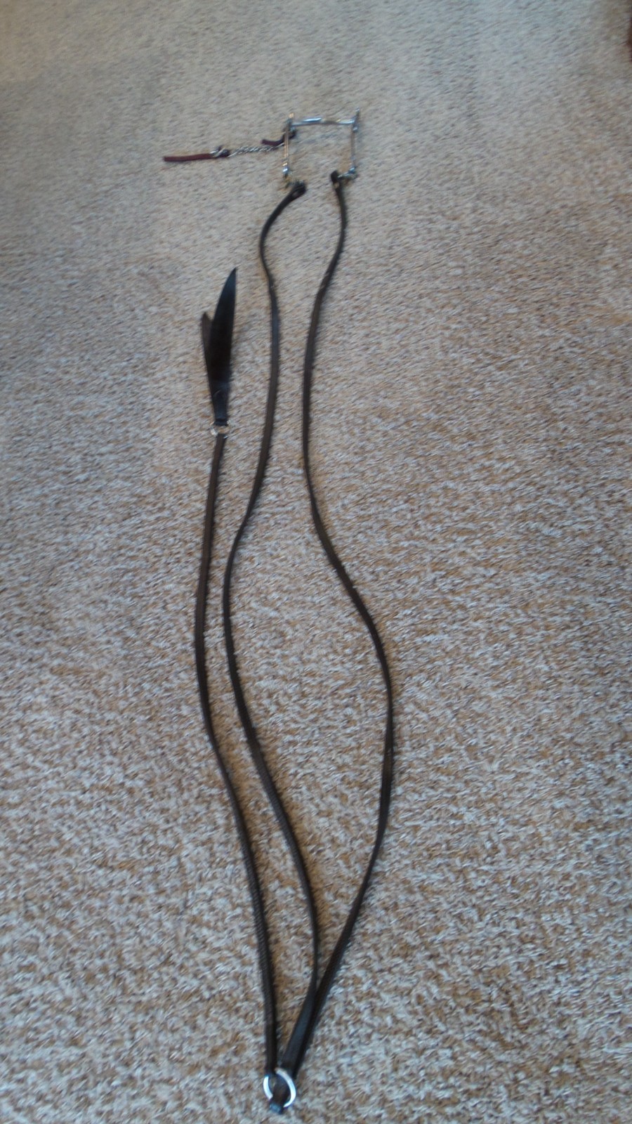 Leather Romal Reins w/ Popper & 5" Low Port Engraved Western Curb Bit/Chin Strap