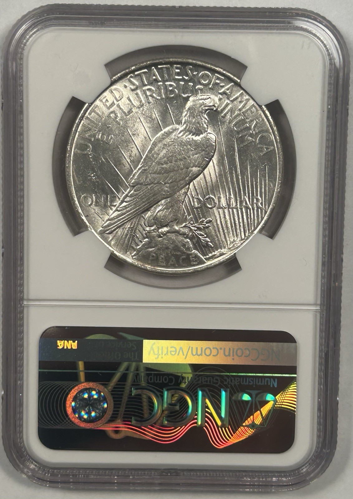 1923 Peace Silver Dollar Coin NGC MS 62