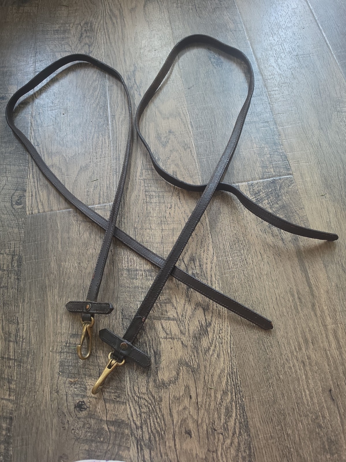 Riding Reins