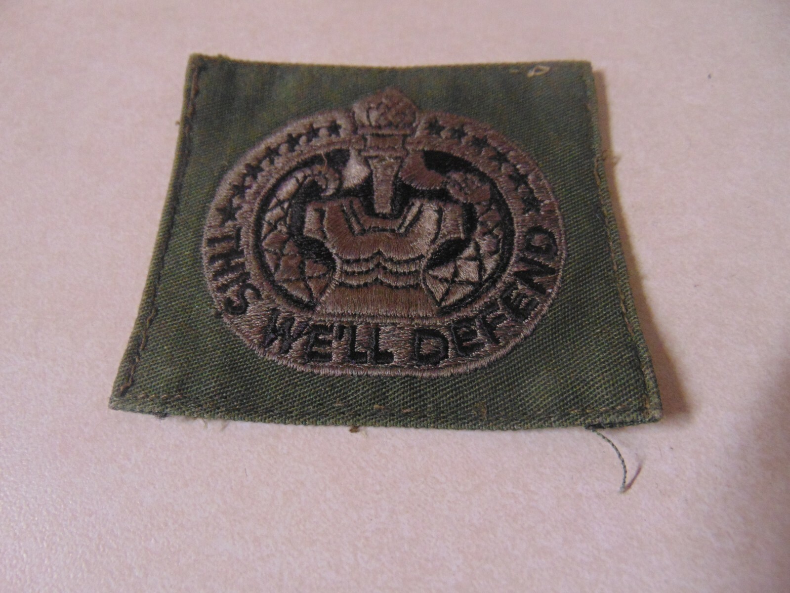 MILITARY PATCH US ARMY SEW ON DRILL SERGEANT POCKET OD GREEN THIS WE'LL DEFEND
