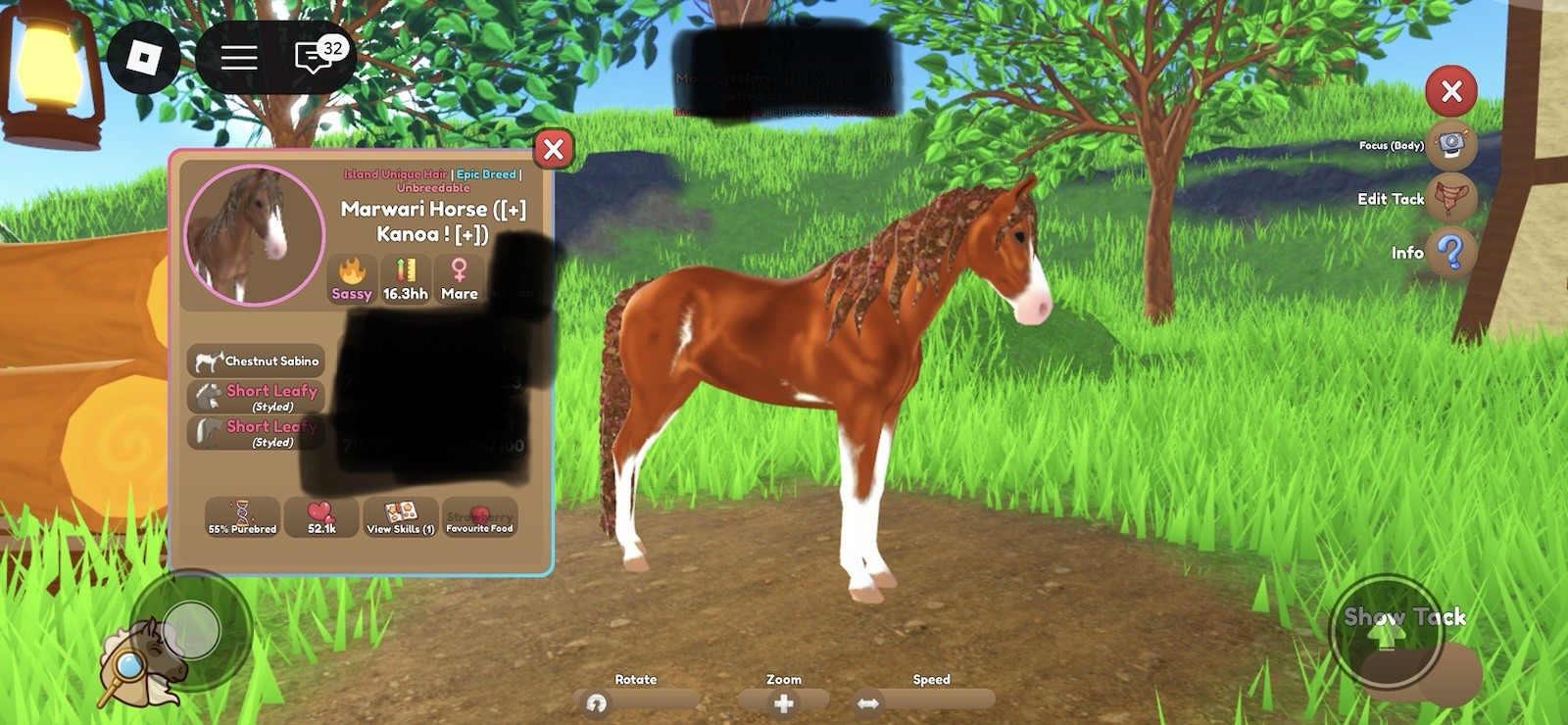 Marwari Horse Epic Breed Island Unique Hair Chestnut Sabino Kanoa Roblox Asset