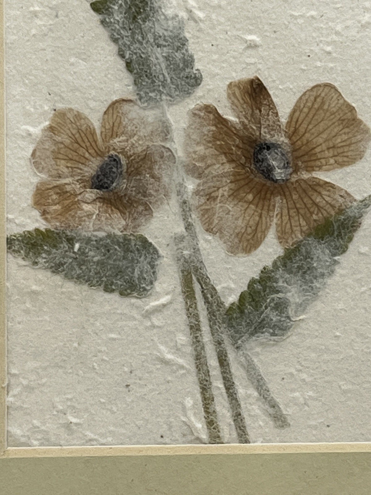 Framed Pressed Botanical Flower Art Pair Handmade Paper Wood Frame Decor