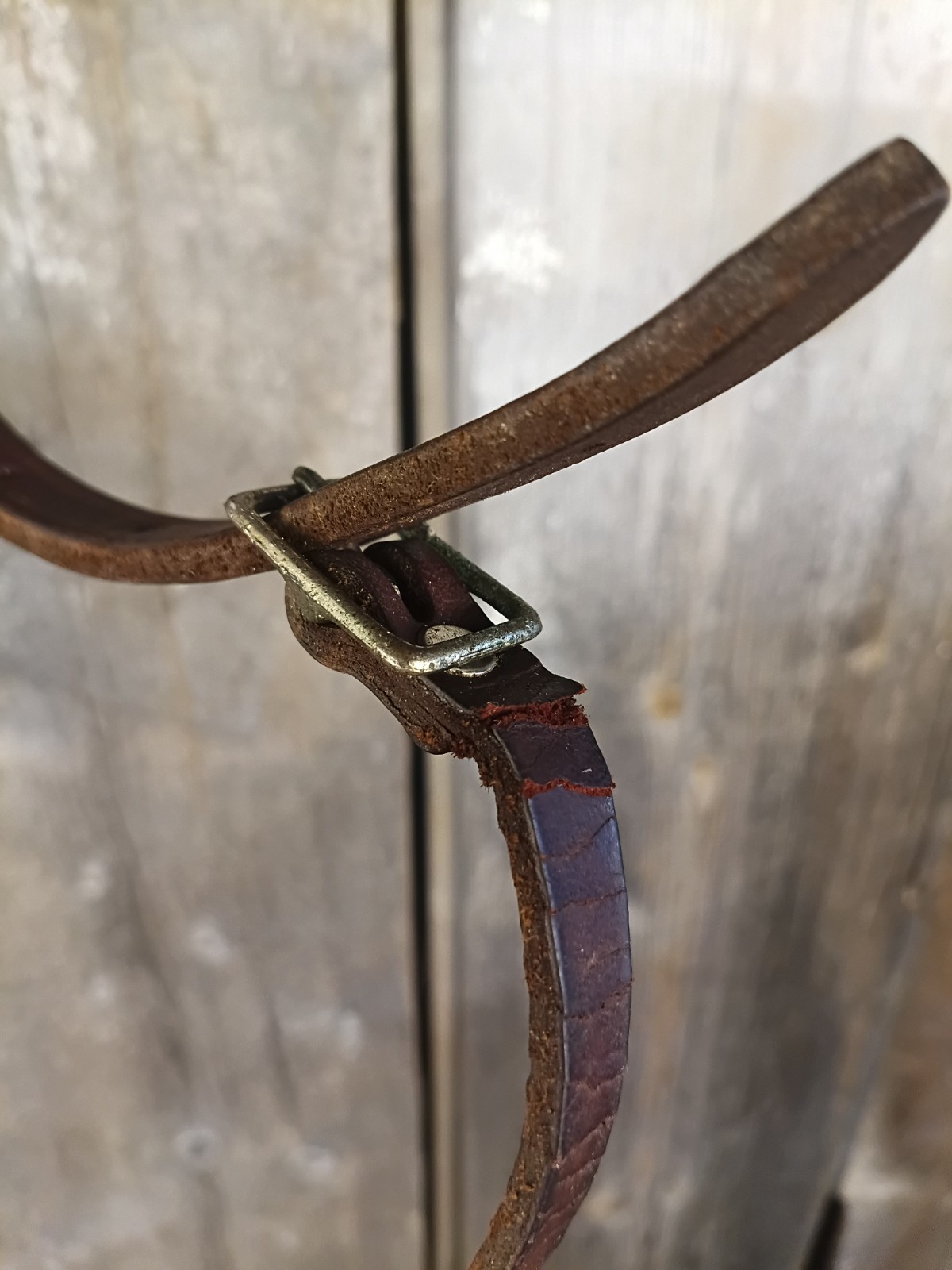 Scalloped Browband Western Headstall With brass Snaps