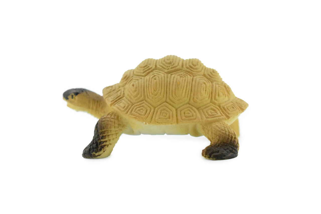 Galápagos Tortoise Plastic Realistic Toy Figurine Replica Gift 2" F4441 B55