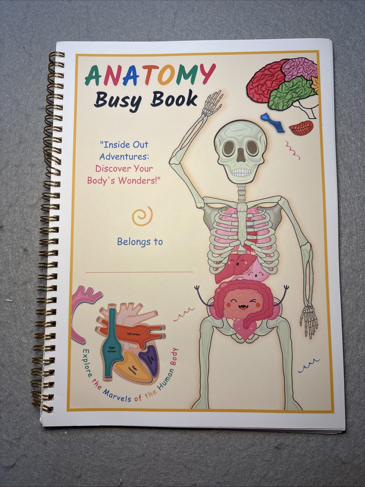 Human Body Anatomy Busy Book for Kids Ages 4-8. Montessori Body Model