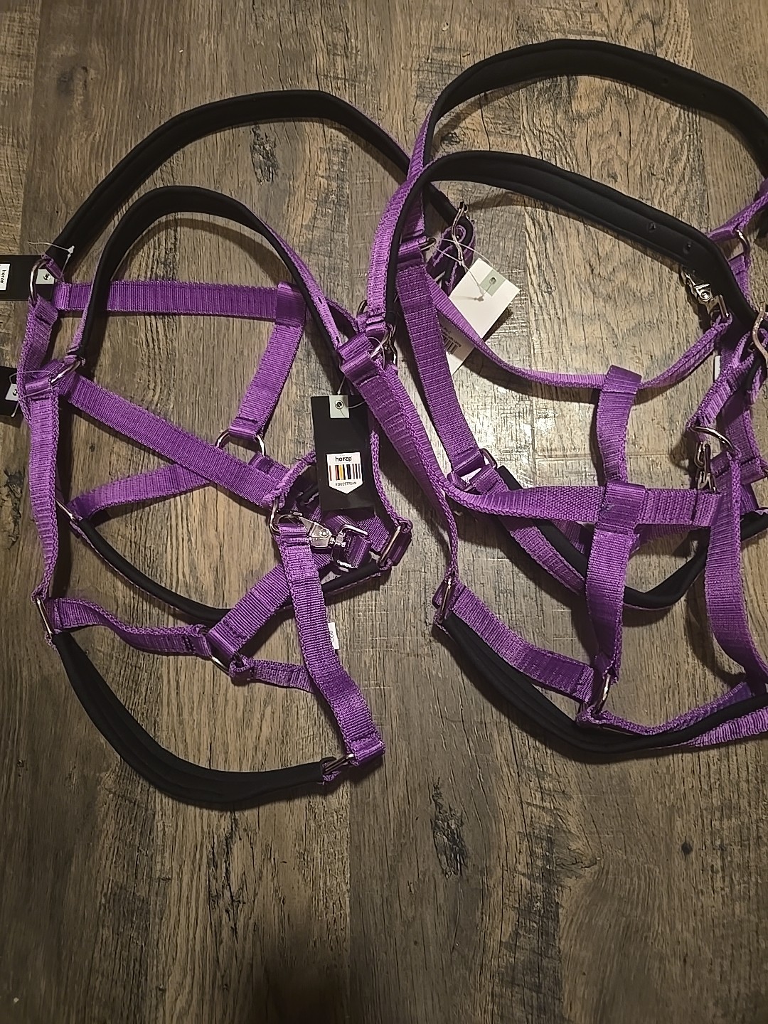Cob Halter Lot