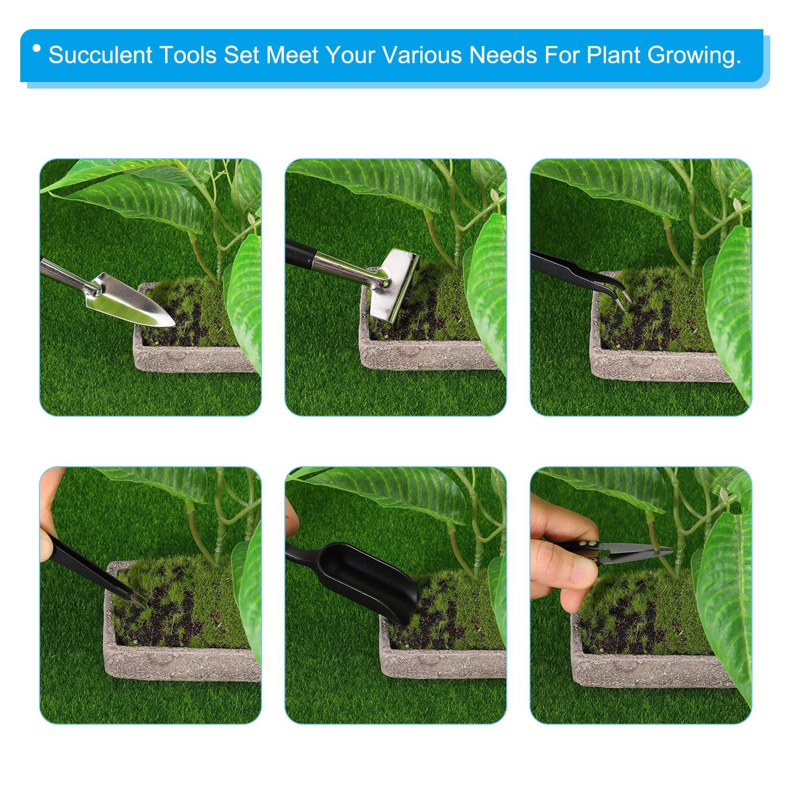 PATIKIL Succulent Tools Set, 12 Pcs Transplanting Set Mini Garden Black