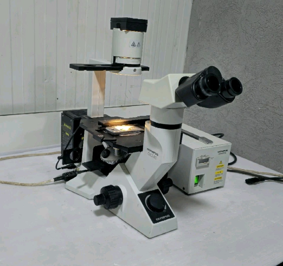 Olympus CKX41 Inverted Fluorescence Phase Contrast Microscope with 3 Objectives