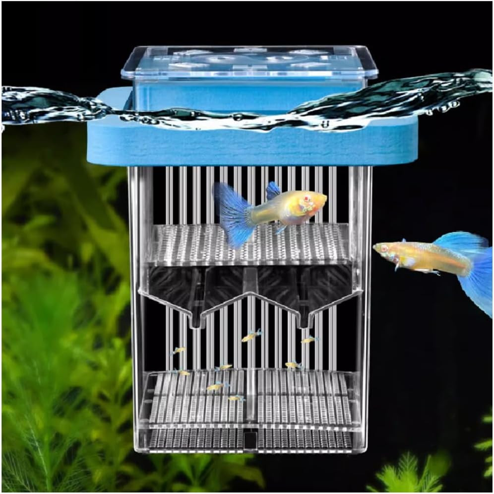 ® Floating Fish Breeding Box with Lid Parent Fish and Baby Fishes Aquarium Divid