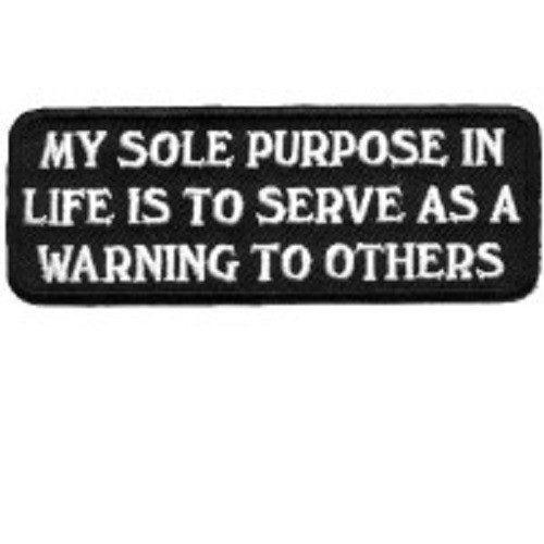 MY SOLE PURPOSE IN LIFE IS TO SERVE AS A WARNING TO OTHERS EMBROIDERED PATCH