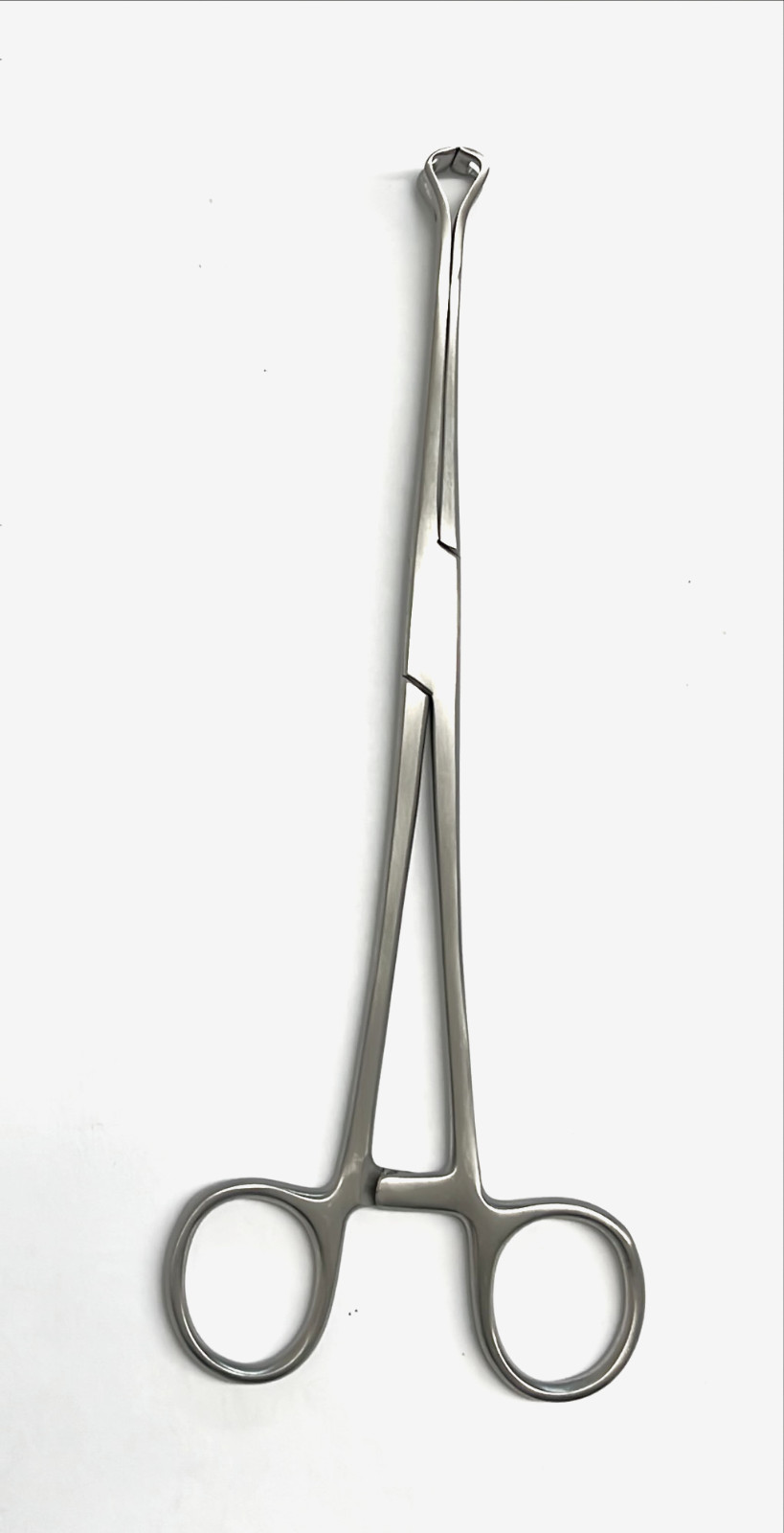 Babcock Forceps 10" Polished Stainless Steel Surgical Medical Pliers
