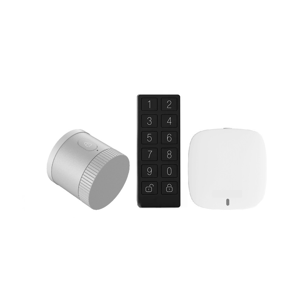 Smart Electronic Door Lock, WiFi Smart Lock, Electric Door Lock, Scandi ASSA 565