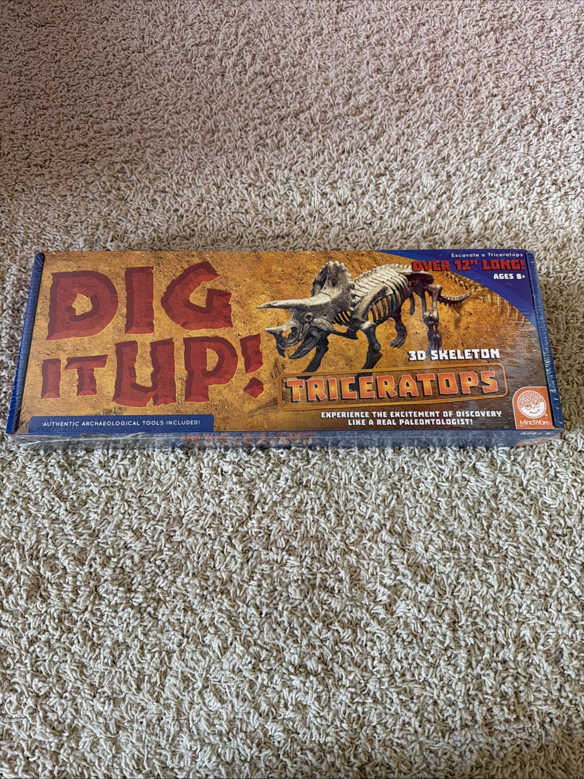 Dig It Up! Dino Model: 3D Skeleton Triceratops - 12" Long - Tools Included *New!