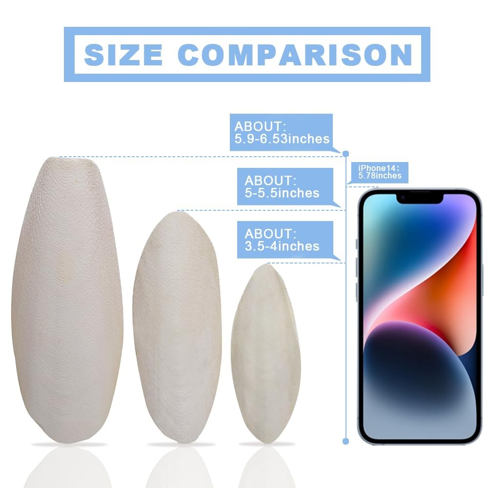 Bird Cuttlebone for Parakeets, Cuddle Bone, Birds Calcium, 3.5"-4", 4 Pcs