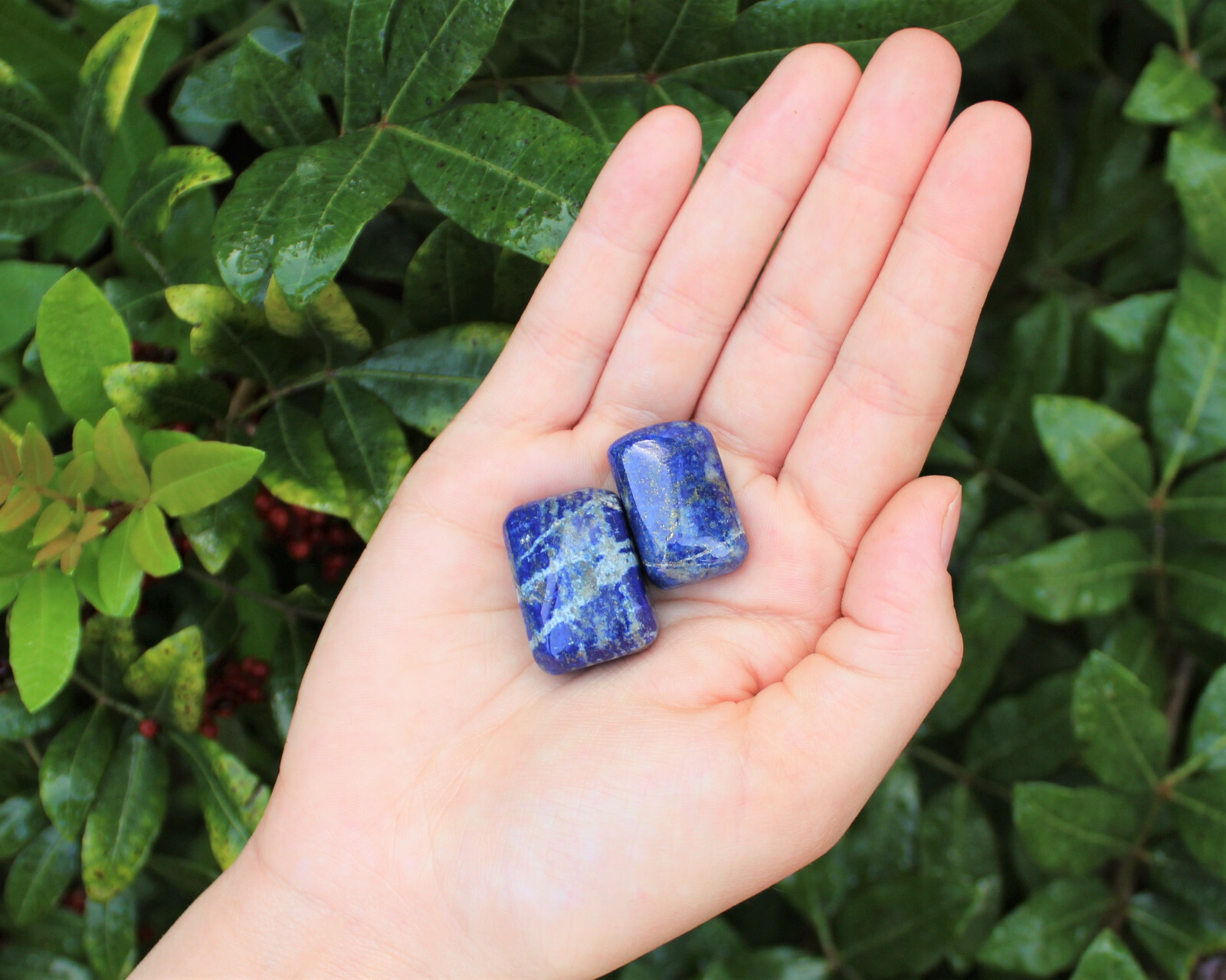 2 Lapis Tumbled Stones: 'A' Grade Lapis Lazuli Natural Polished Crystals