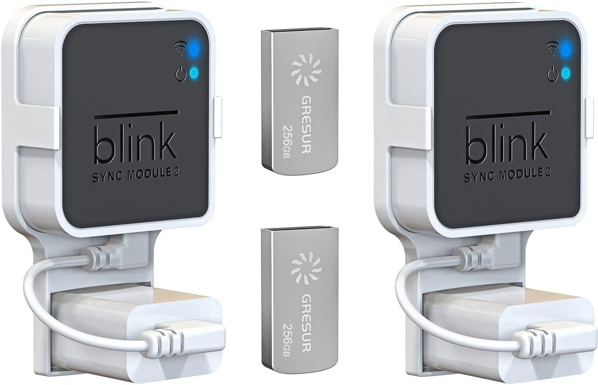 Lightweight USB Flash Drive 256GB with Easy Mount for Blink Module 2 - 2 Pack