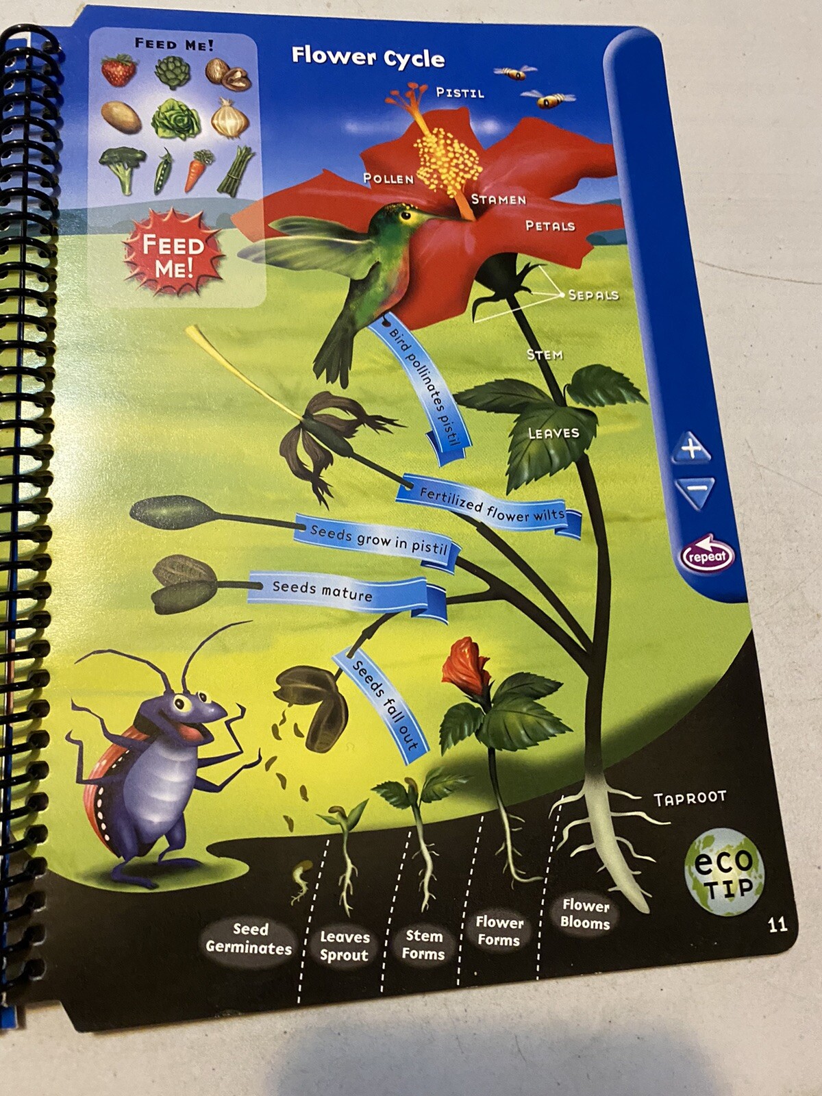Quantum Pad Learning System - 4th Grade SCIENCE Book ONLY