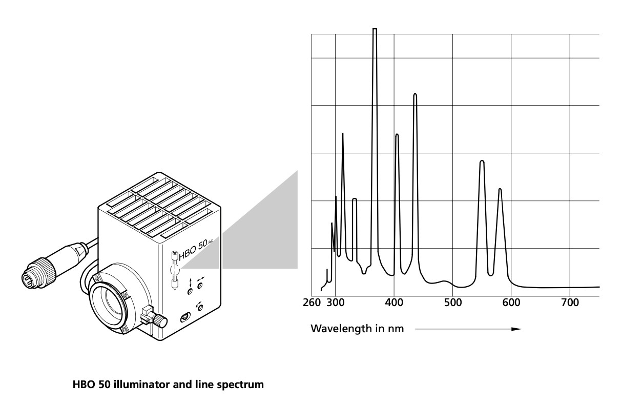 Zeiss Axiovert 100 Inverted Phase Contrast DIC Microscope