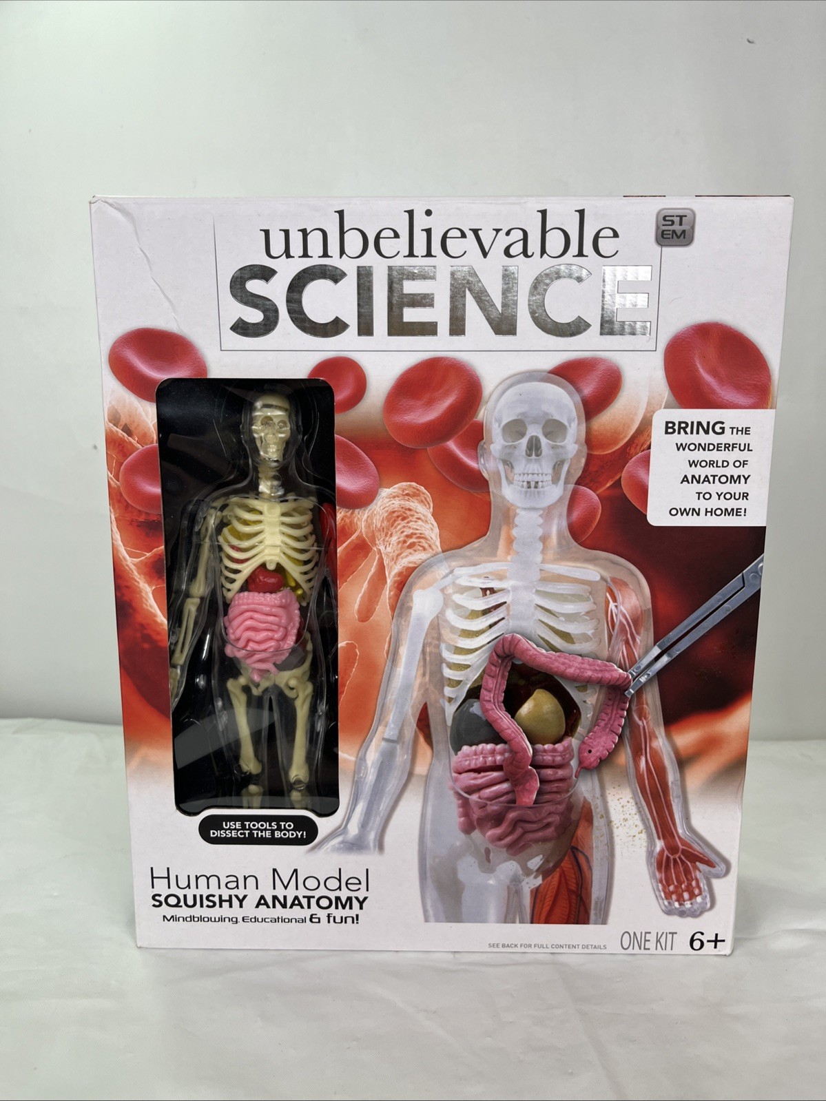 Unbelievable Science Human Model Squishy Anatomy Educational Toy Gift
