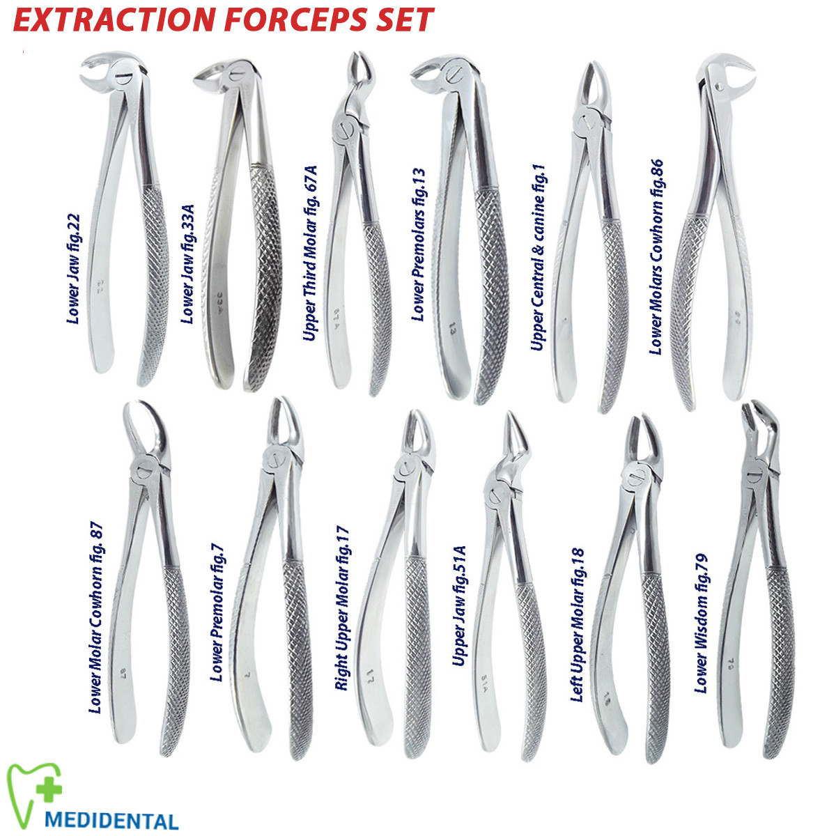 Dental Extraction Forceps For Tooth Extract Lower, Upper Roots Anterior