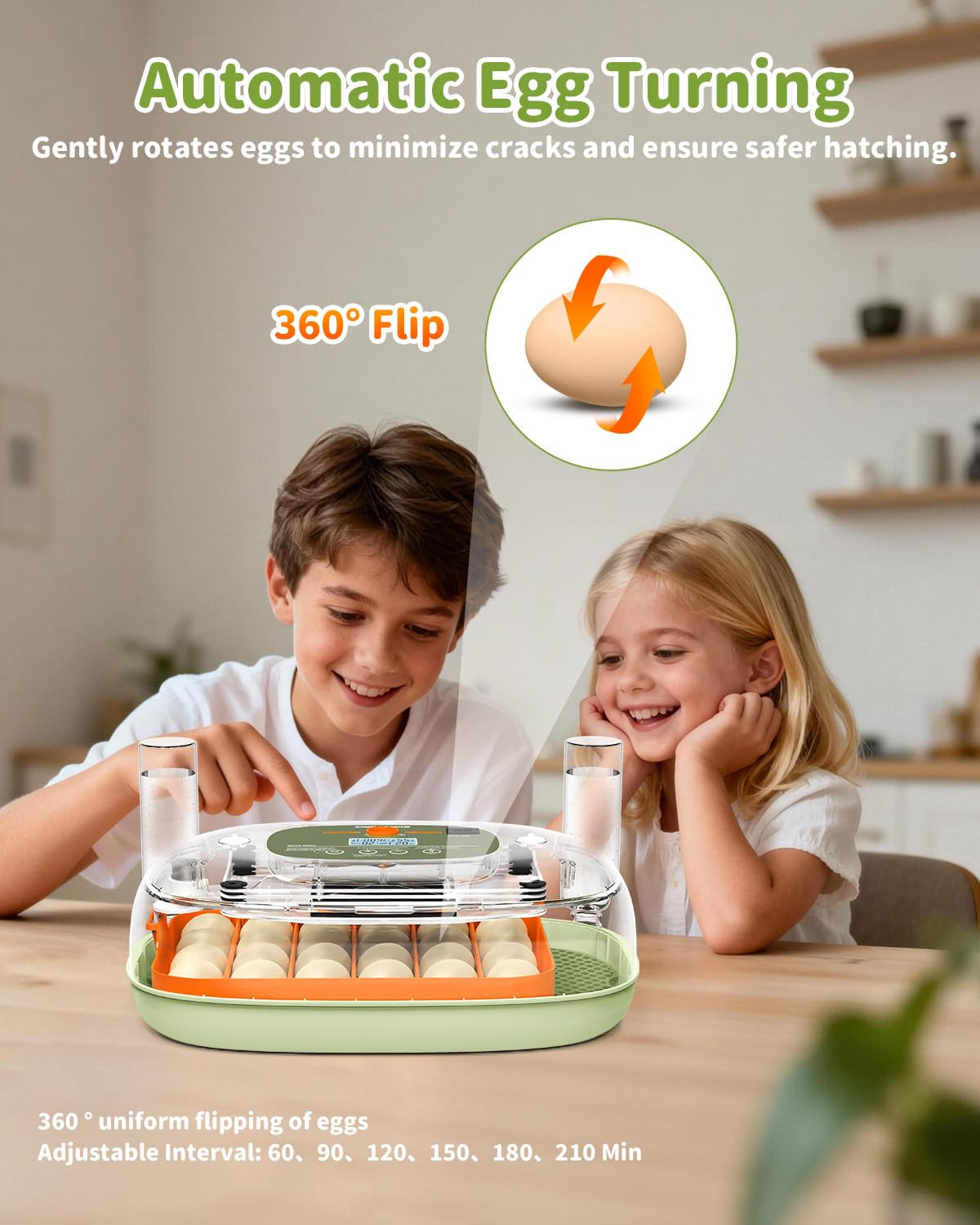 Egg Incubator for 24 Chicken Eggs with Automatic Turner, Digital Temperature Con