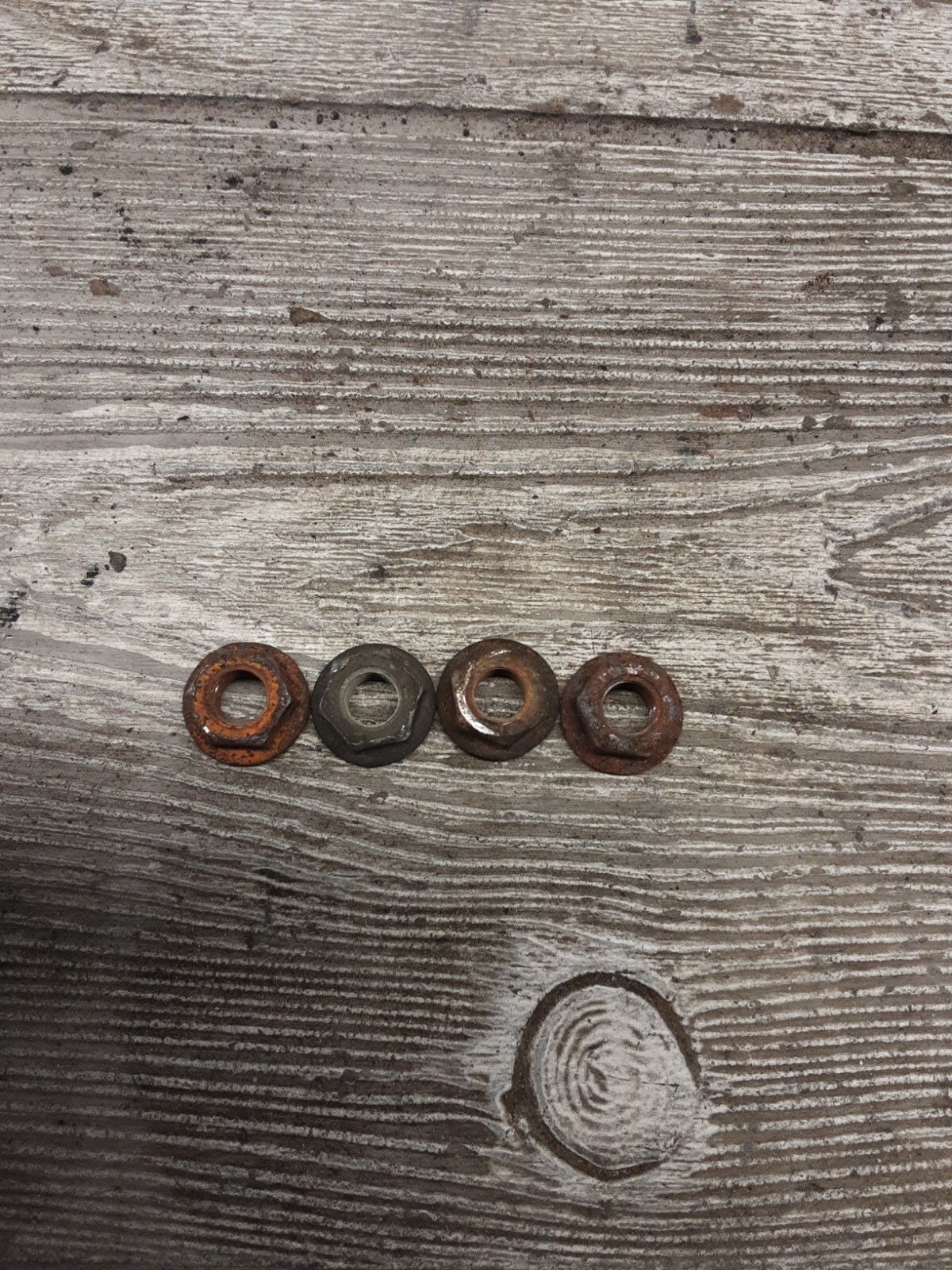 1999 99 99-06 Harley Davidson Electra Glide Classic Touring Header Mounting Nuts