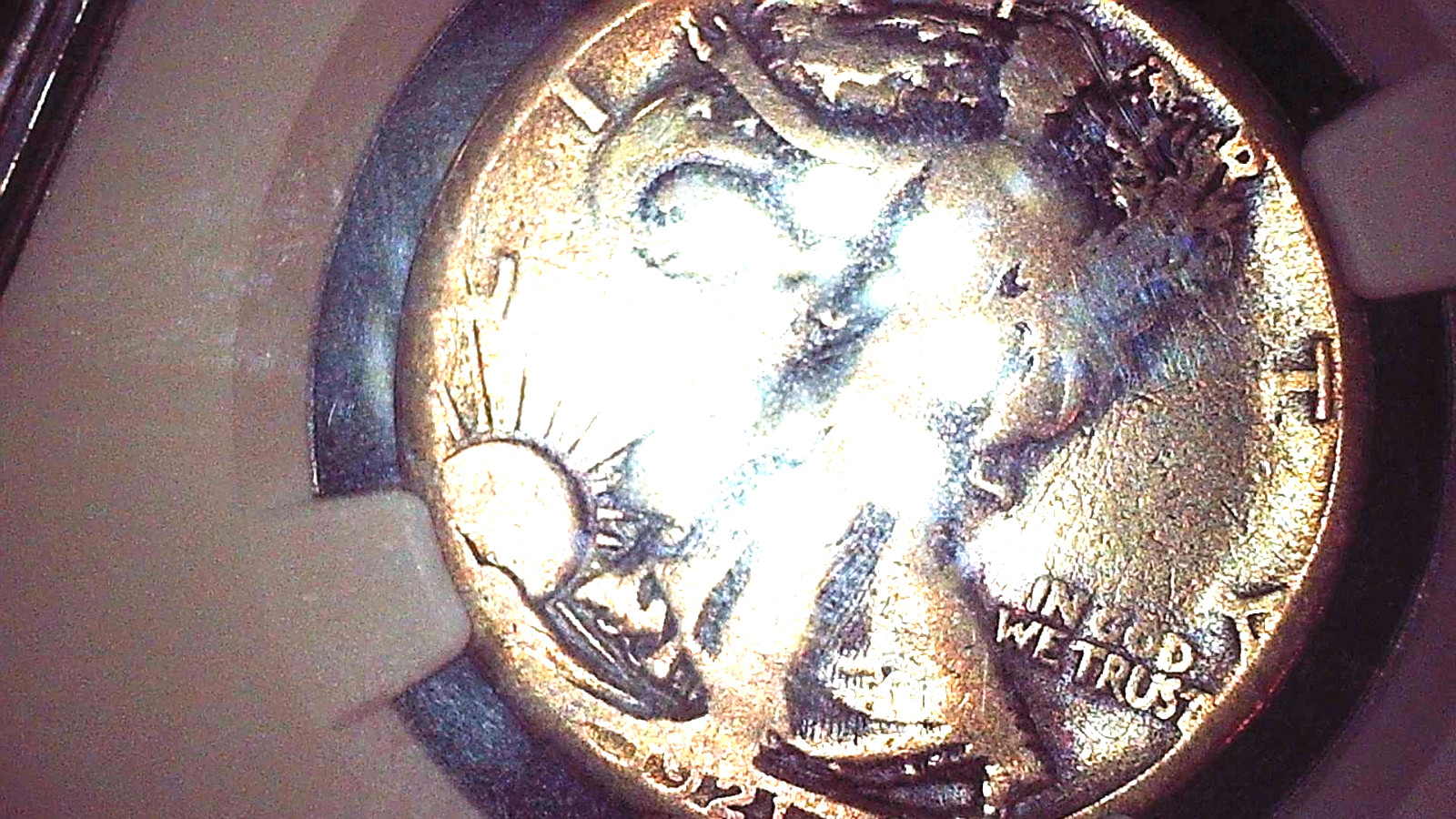1921 S 50C ngc cleaned Walking half Dollar Fine Detail