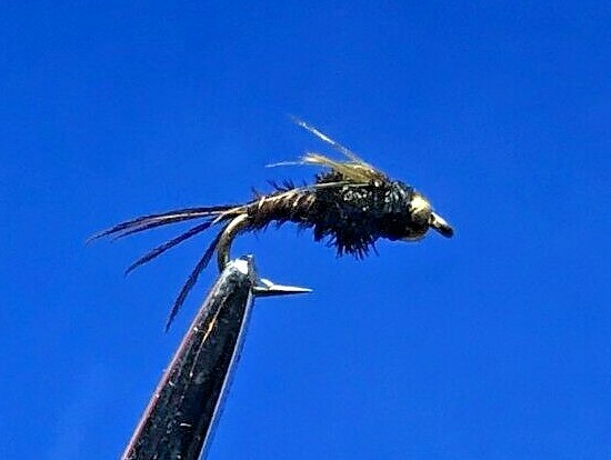 1 Dozen (12) Bead Head Pheasant Tail Size 16 (276)