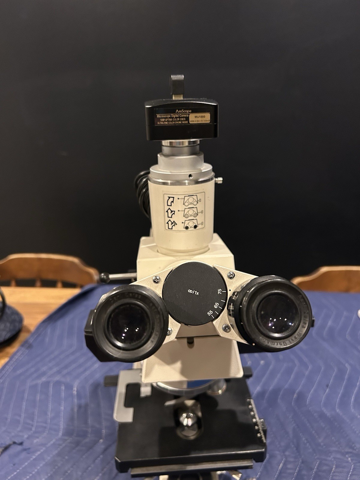 Zeiss Axioskop & AmScope MU1000 10MP USB 2.0 Microscope Digital Camera