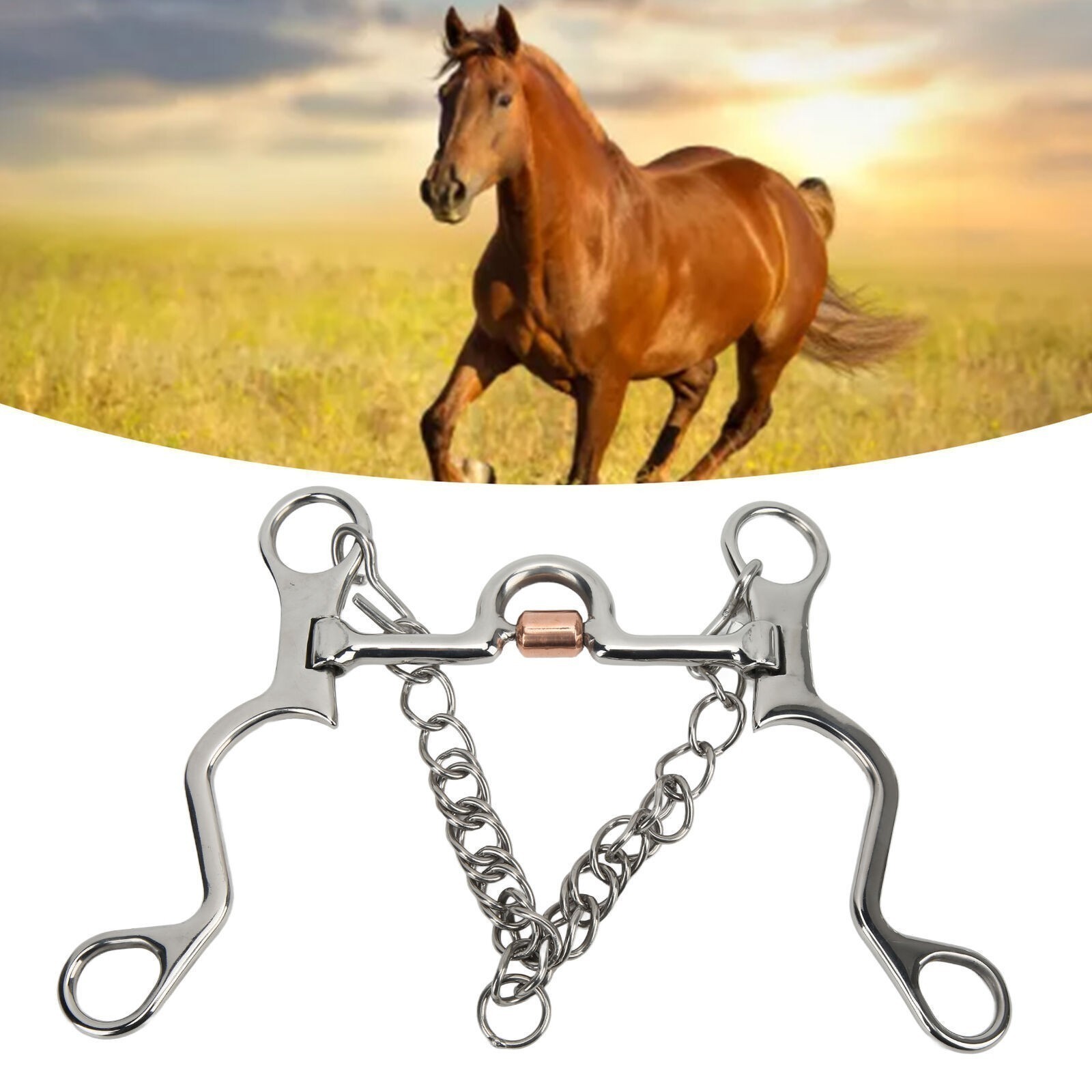 Pelham Bit Strong Fine Workmanship Stainless Steel Horse Bit for Horse Riding