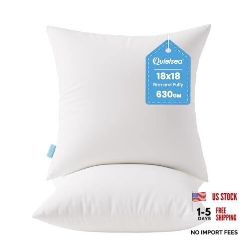 18x18 Pillow Inserts, 2 Pack Down Alternative Throw Pillow 18x18 Inch White