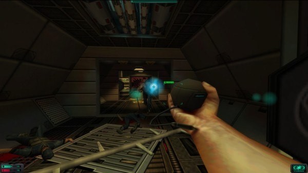 System Shock 2 (NO CD/DVD)
