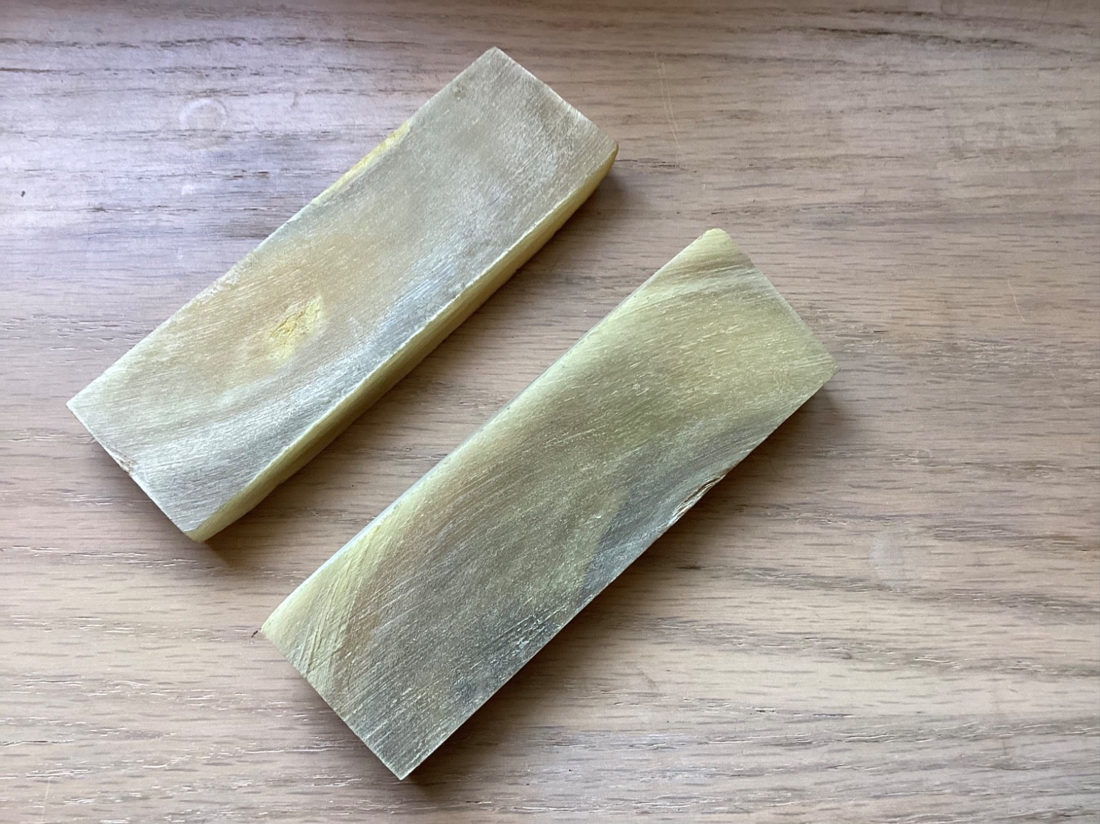Sheep Horn slabs for knife making