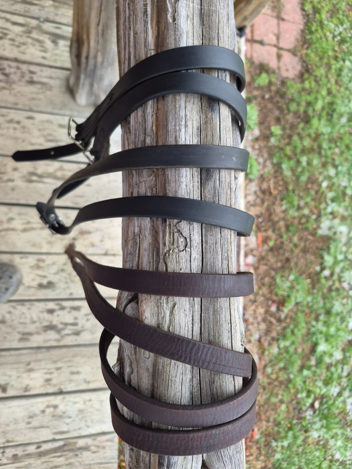 Trail Reins 2 sets one leather one biothane 10+' ech