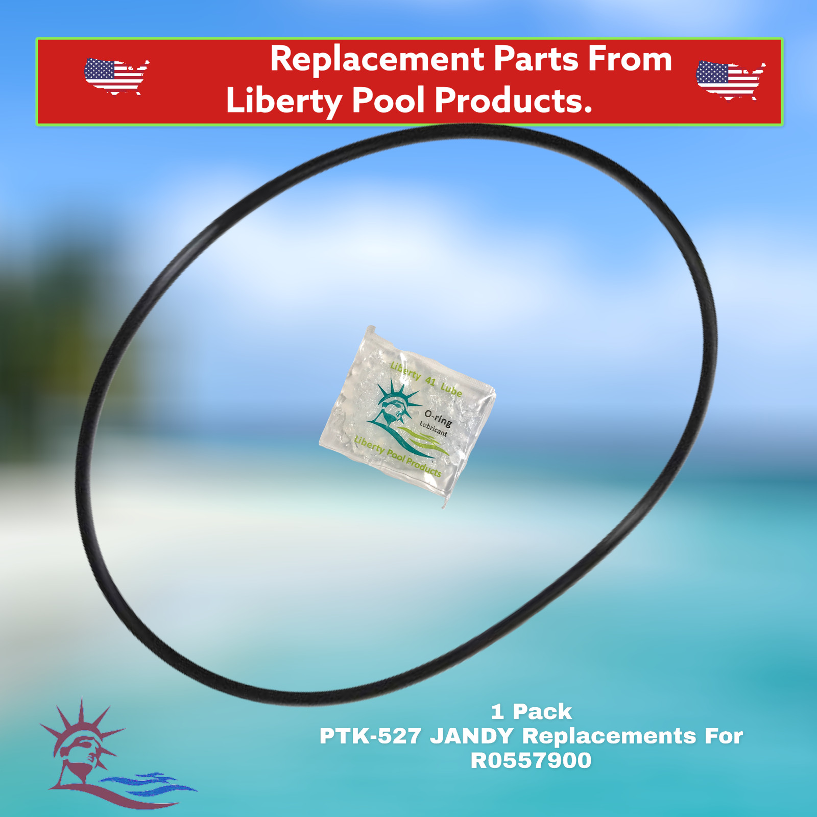 R0557900, CJ Series, Tank Lid O-Ring with Lube PTK-527 By Liberty For Jandy