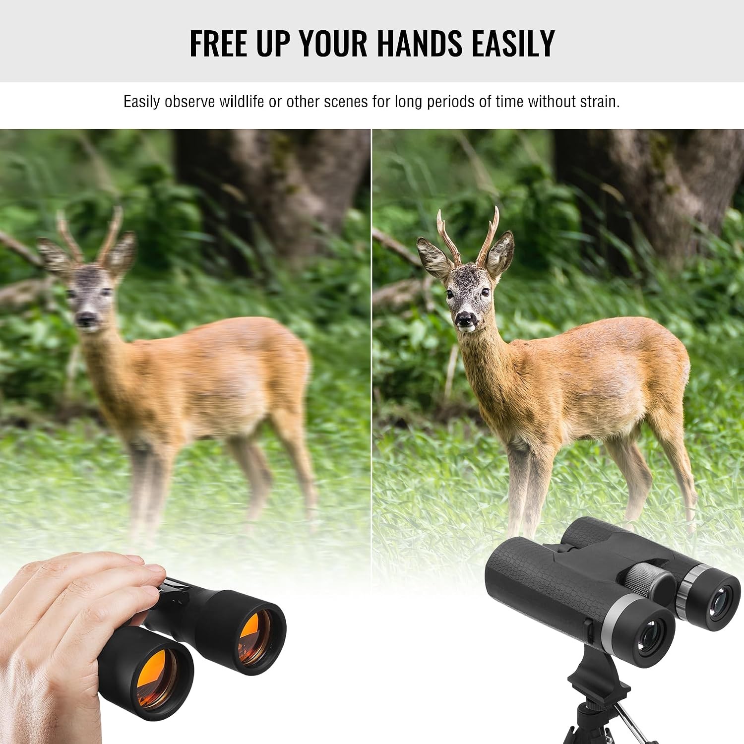 Binocular Tripod Adapter with Quick Release 1/4 Inch Threading Detachable Mount
