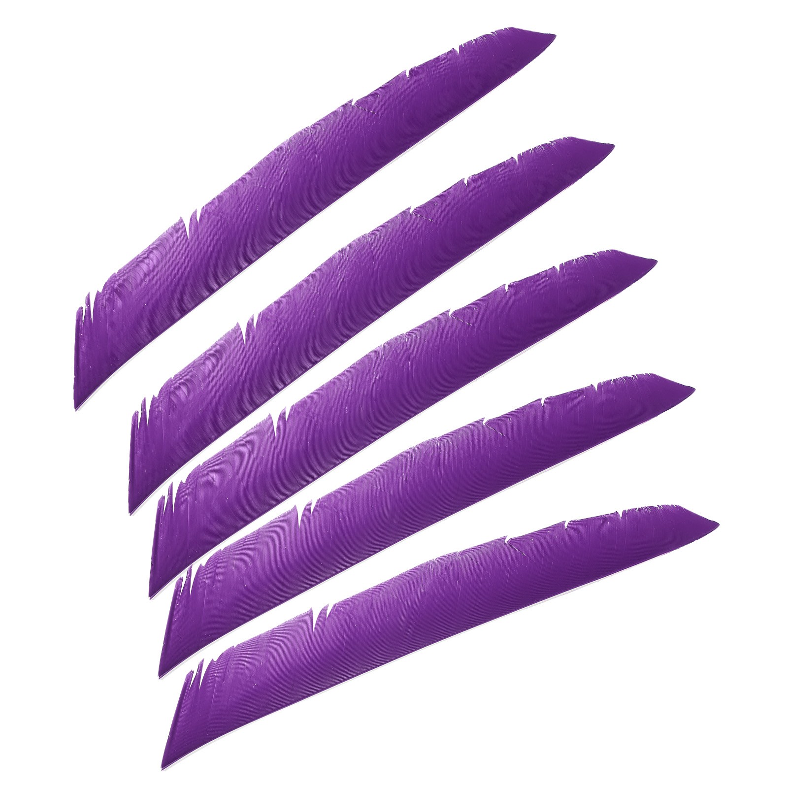 50pcs Arrows Vanes 11 Inch Turkey Feather Arrow Fletching Right Wing, Purple