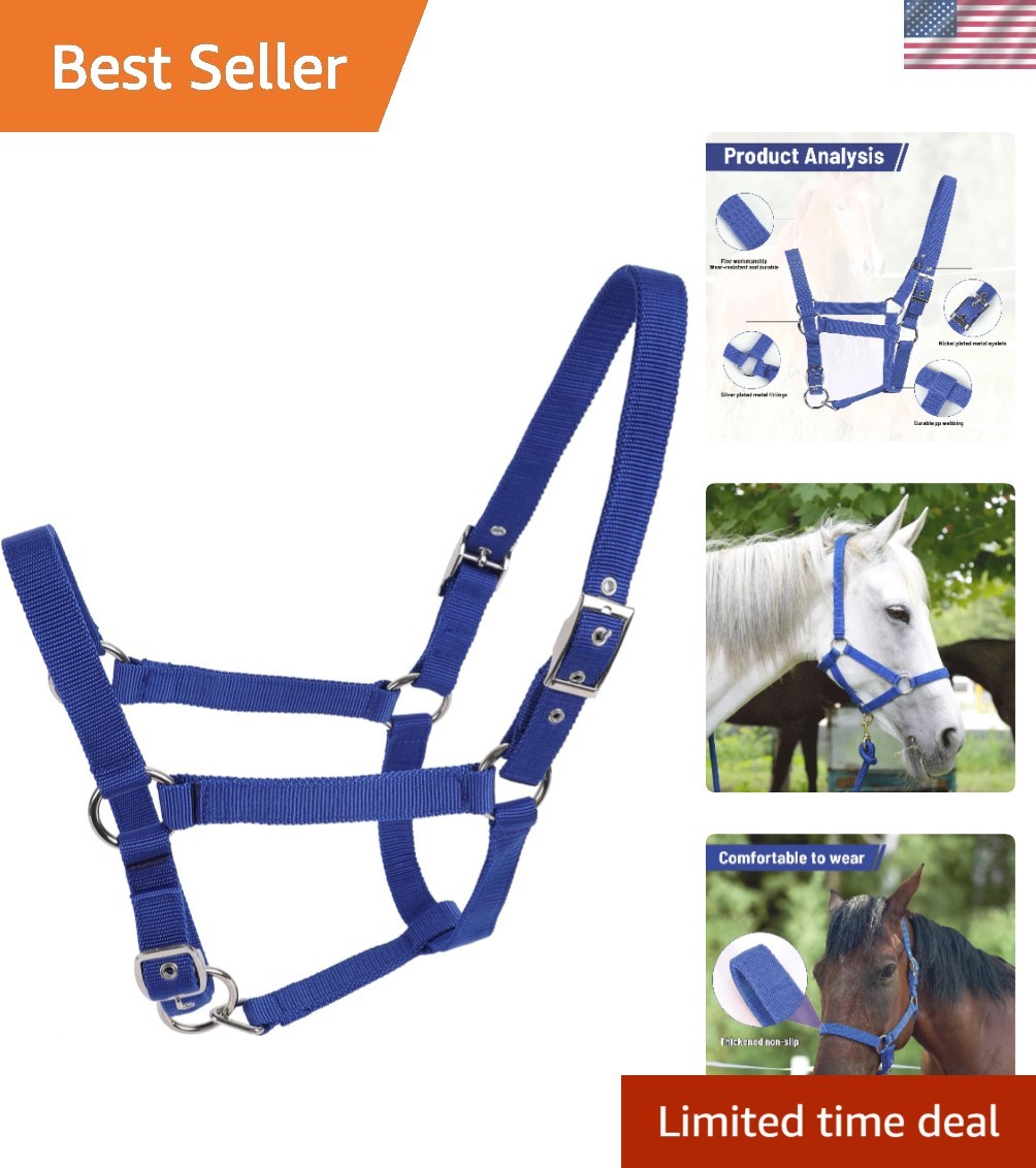 Adjustable Blue Nylon Horse Halter with Durable Stainless Steel Hardware X-Small