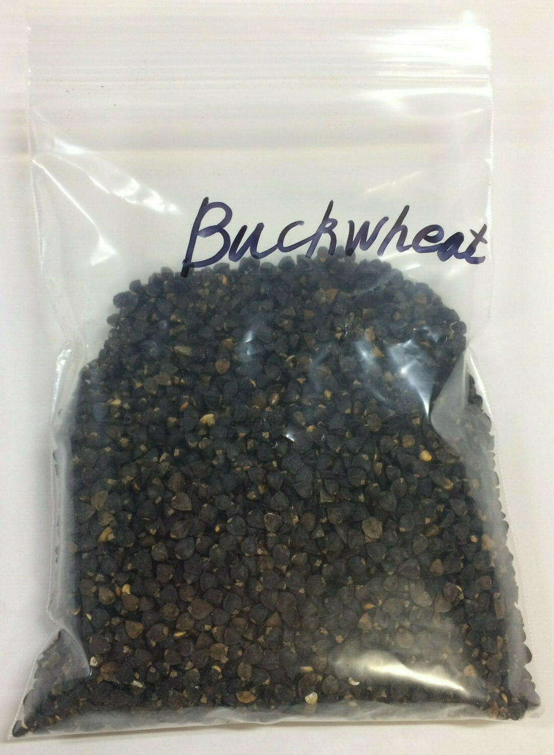 1/2 lb Buckwheat Seed Forage Food Plot Honey Bee Deer Turkey Bird Attractant