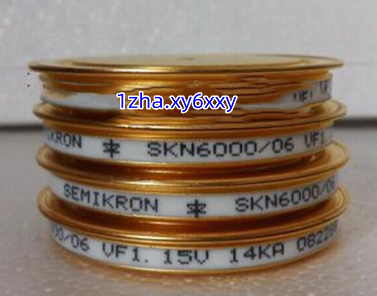 1PC FOR New SKN6000/06 Disk Diode Module VF1.15V 14KA #1z